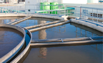 <strong>Mmamashia WTW, Botswana</strong>