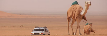 <strong>JQ Gravel Road, Saudi Arabia</strong>