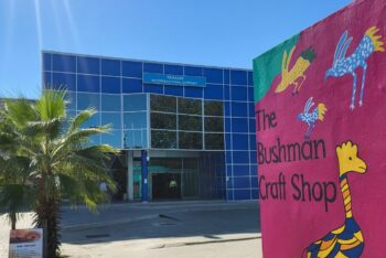 <strong>Maun International Airport - Botswana</strong>